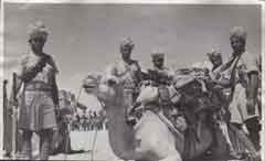 انقر للحصول على حجم اكبر