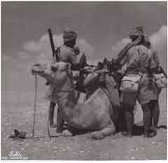 انقر للحصول على حجم اكبر