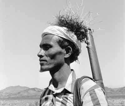 انقر للحصول على حجم اكبر