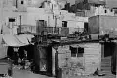 ���� ������ ��� ��� ����