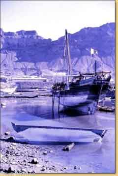 ���� ������ ��� ��� ����