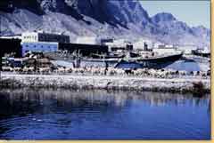 ���� ������ ��� ��� ����