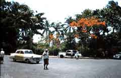 ���� ������ ��� ��� ����