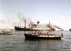 ���� ������ ��� ��� ����