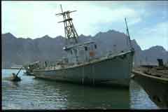 ���� ������ ��� ��� ����