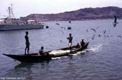 ���� ������ ��� ��� ����