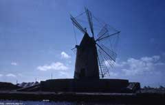 ���� ������ ��� ��� ����