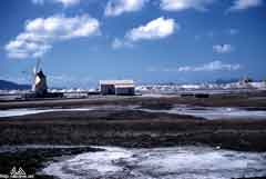 ���� ������ ��� ��� ����