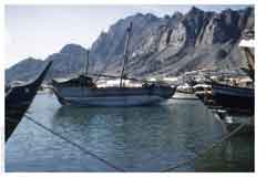 ���� ������ ��� ��� ����