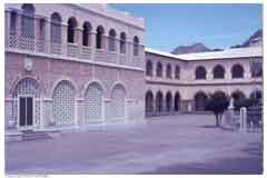 ���� ������ ��� ��� ����