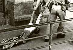 ���� ������ ��� ��� ����