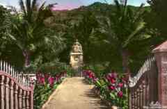 ���� ������ ��� ��� ����