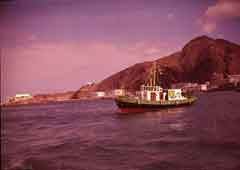 ���� ������ ��� ��� ����