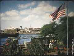 ���� ������ ��� ��� ����