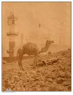 ���� ������ ��� ��� ����