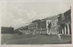 ���� ������ ��� ��� ����