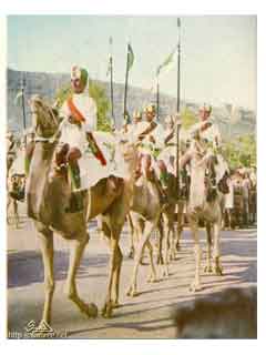 ���� ������ ��� ��� ����