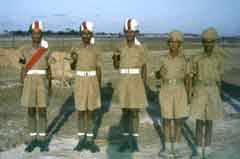 ���� ������ ��� ��� ����