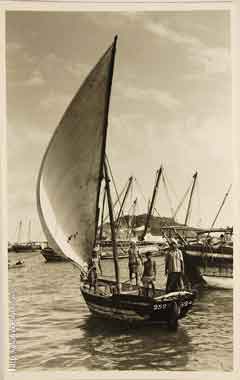 ���� ������ ��� ��� ����