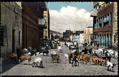 انقر للحصول على حجم اكبر