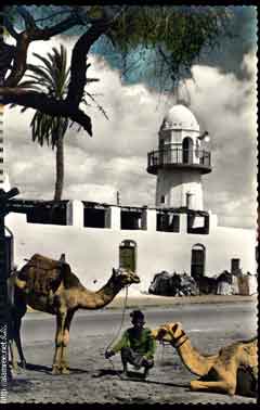 انقر للحصول على حجم اكبر