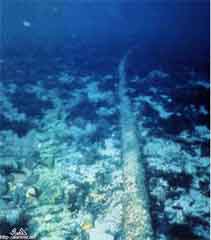 ���� ������ ��� ��� ����