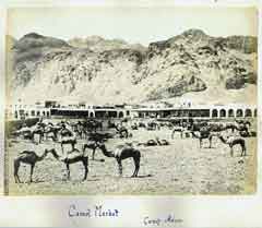 ���� ������ ��� ��� ����