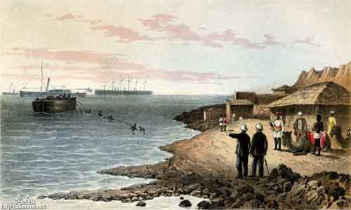 ���� ������ ��� ��� ����