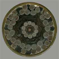 ���� ������ ��� ��� ����