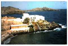 ���� ������ ��� ��� ����