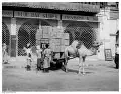 ���� ������ ��� ��� ����