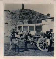 ���� ������ ��� ��� ����