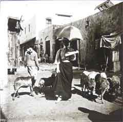 ���� ������ ��� ��� ����