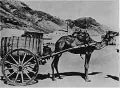 انقر للحصول على حجم اكبر