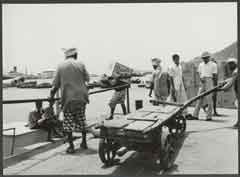 ���� ������ ��� ��� ����