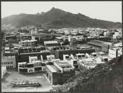 ���� ������ ��� ��� ����