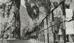 ���� ������ ��� ��� ����