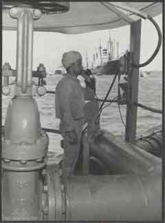 ���� ������ ��� ��� ����