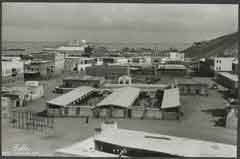 ���� ������ ��� ��� ����