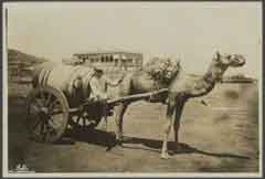 انقر للحصول على حجم اكبر