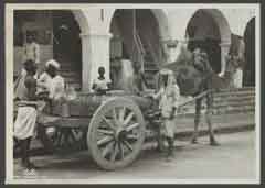 ���� ������ ��� ��� ����