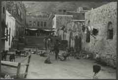 ���� ������ ��� ��� ����