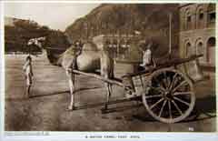 انقر للحصول على حجم اكبر