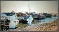 انقر للحصول على حجم اكبر