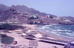 انقر للحصول على حجم اكبر