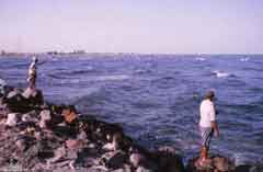 انقر للحصول على حجم اكبر