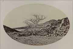 انقر للحصول على حجم اكبر