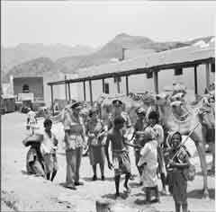 ���� ������ ��� ��� ����