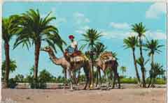 ���� ������ ��� ��� ����