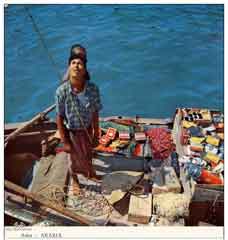 ���� ������ ��� ��� ����